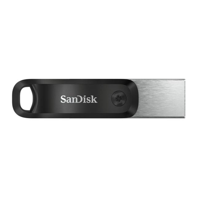 SanDisk - SDIX60N-256G-GN6NE unidad flash USB 256 GB 3.2 Gen 1 (3.1 Gen 1) Gris, Plata