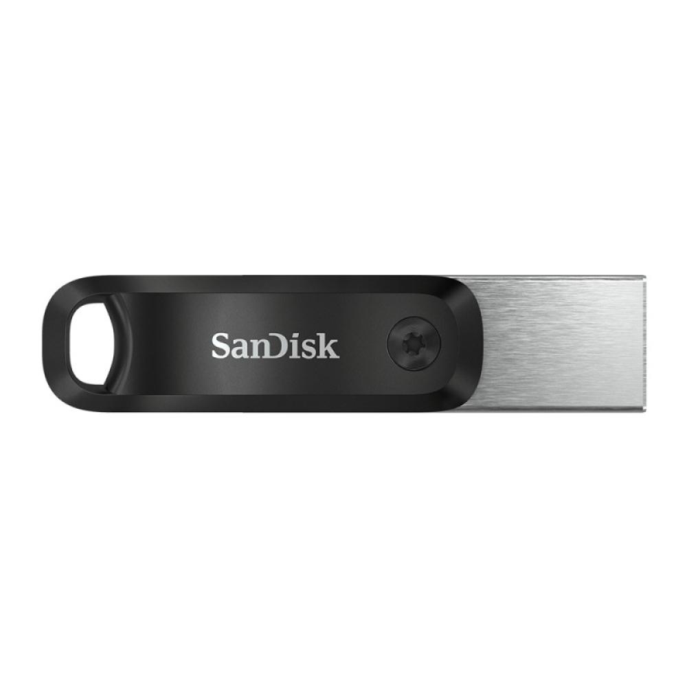 SanDisk - SDIX60N-256G-GN6NE unidad flash USB 256 GB 3.2 Gen 1 (3.1 Gen 1) Gris, Plata