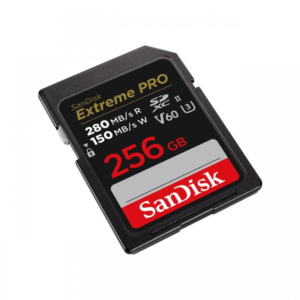 SanDisk - SDSDXEP-256G-GN4IN memoria flash 256 GB SDXC UHS-II Clase 10