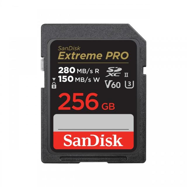 SanDisk - SDSDXEP-256G-GN4IN memoria flash 256 GB SDXC UHS-II Clase 10