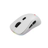 Savio - RIFT WHITE gaming mouse RGB Dual Mode ratón Juego mano derecha Bluetooth + USB Type-C Óptico 10000 DPI