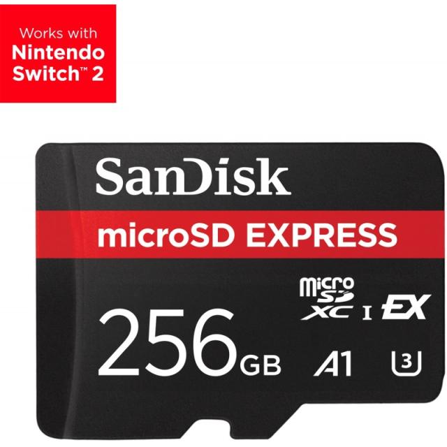 SanDisk - Express 256 GB MicroSDXC UHS-I