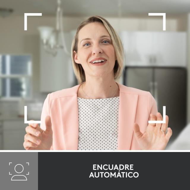 Logitech - Brio 500 - 960-001428