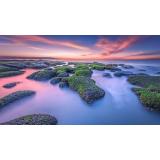 Xiaomi - 43A2 109,2 cm (43") 4K Ultra HD Smart TV Wifi Negro