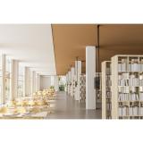 Neomounts - CL35-440BL16XL Soporte de techo para monitor/TV 37-70" - alt. 250-300 cm