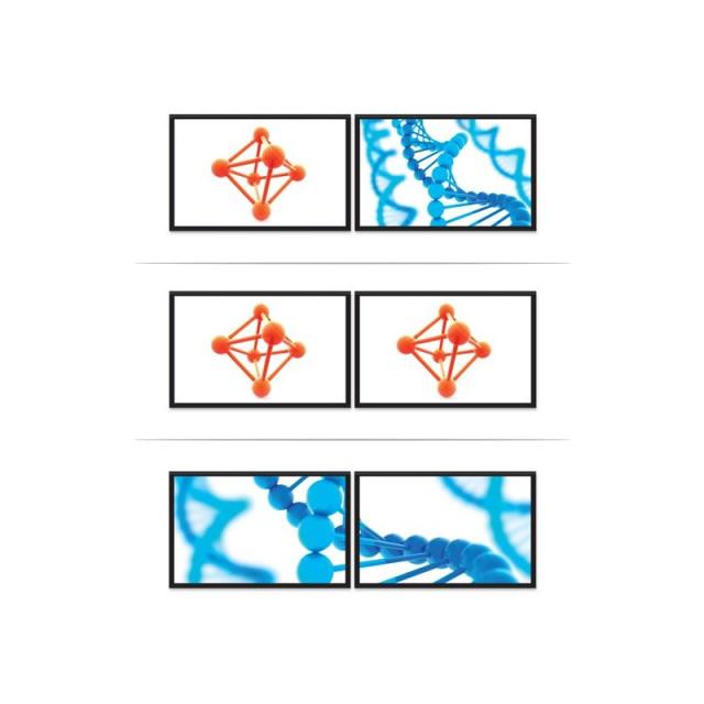 StarTech.com - Splitter Multiplicador Mini DP a 2 puertos DisplayPort - Hub MST