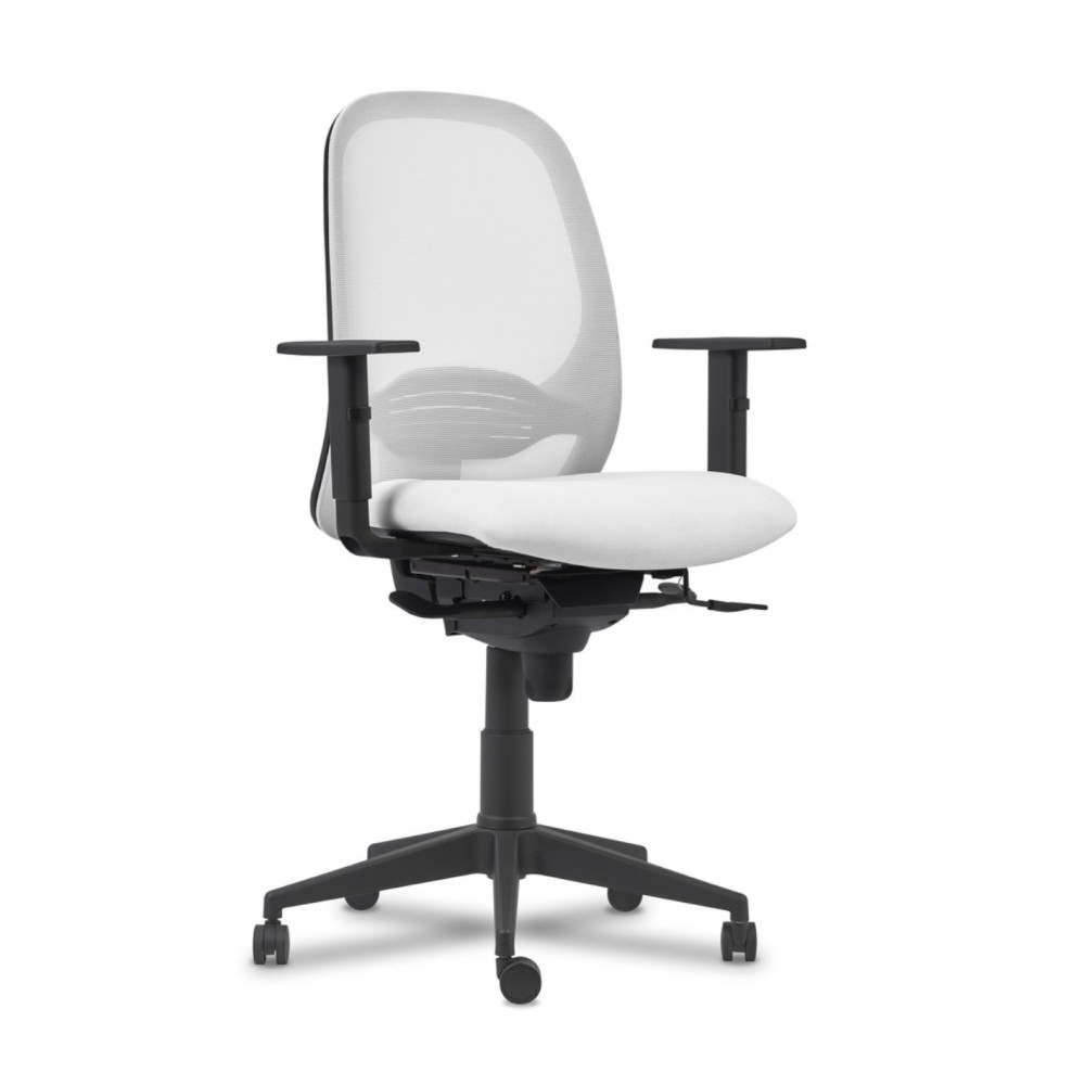 Silla Adara Sin Cabezal