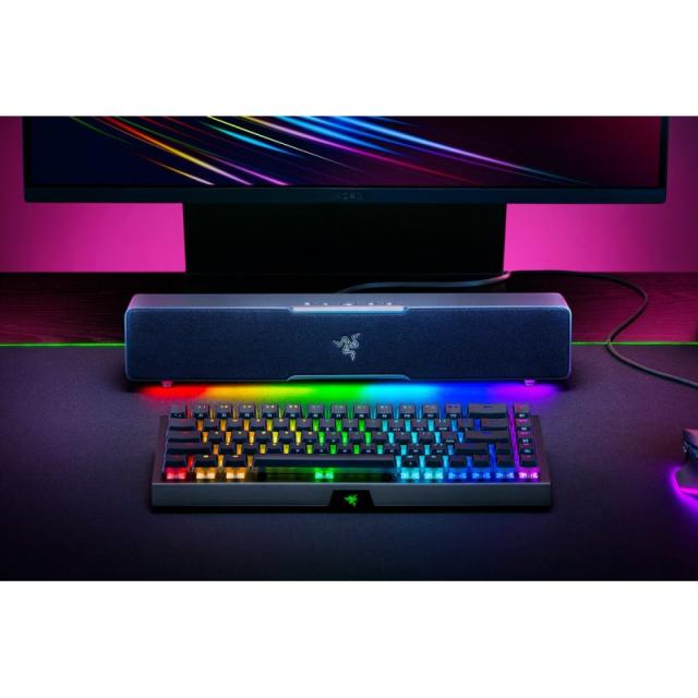 Razer - Leviathan V2 X Negro 65 W
