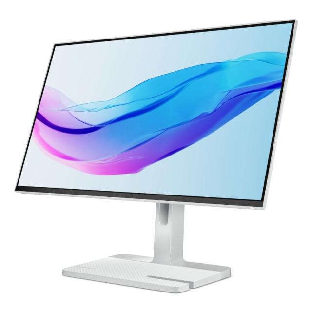 Lenovo - L24m-4A pantalla para PC 60,5 cm (23.8") 1920 x 1080 Pixeles Full HD LED Gris