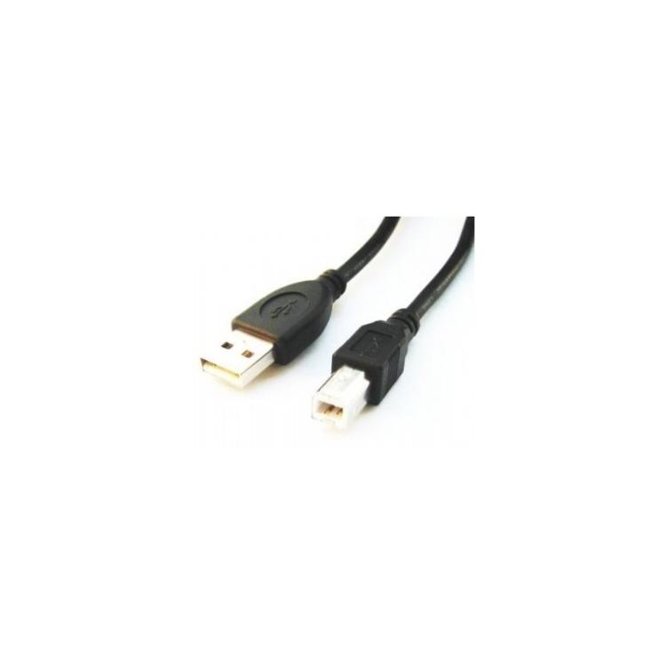 Gembird - CCP-USB2-AMBM-6 cable USB 1,82 m USB A USB B Negro