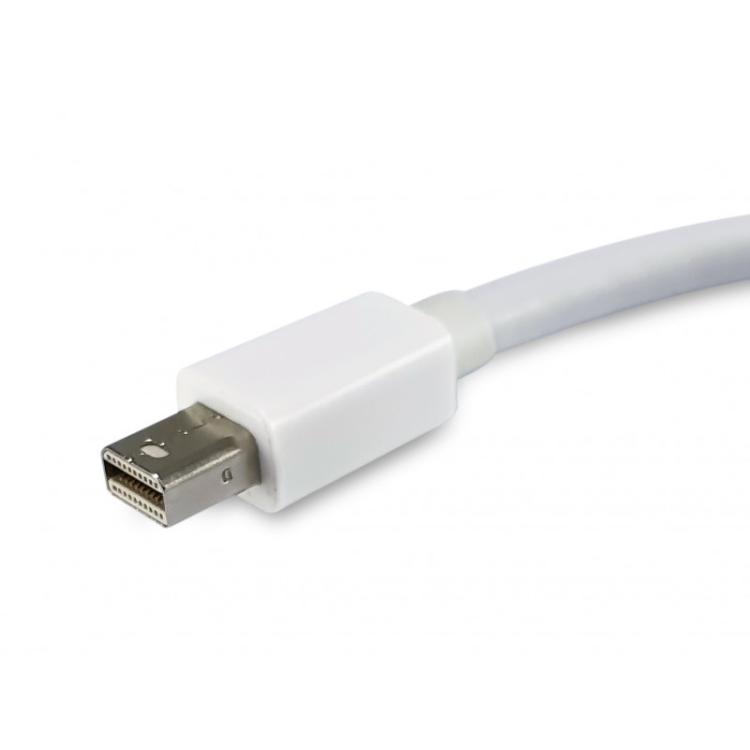 Equip - Adaptador de Mini DisplayPort a DisplayPort, color blanco