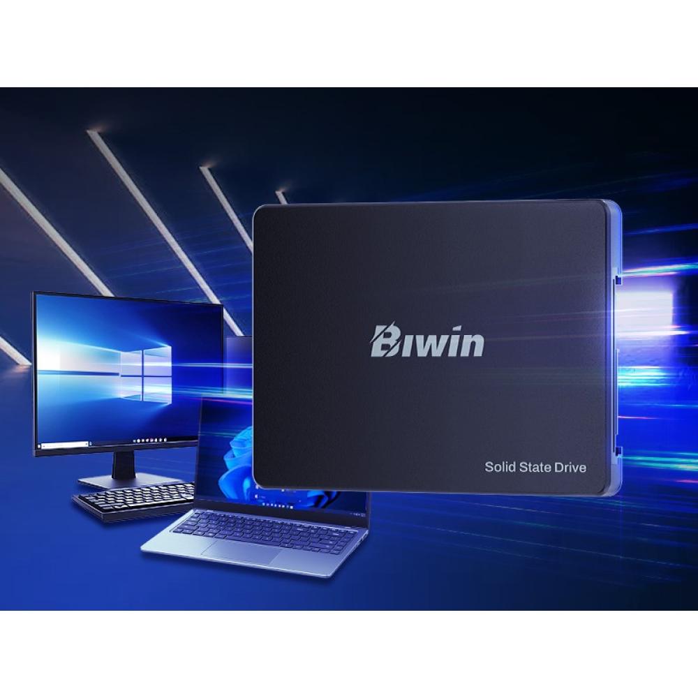 Biwin - M100 512 GB 2.5" Serial ATA III