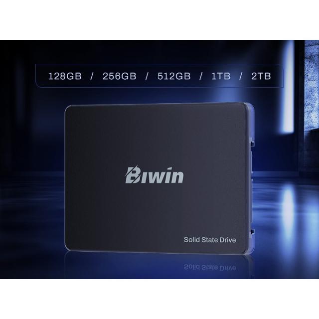 Biwin - M100 512 GB 2.5" Serial ATA III