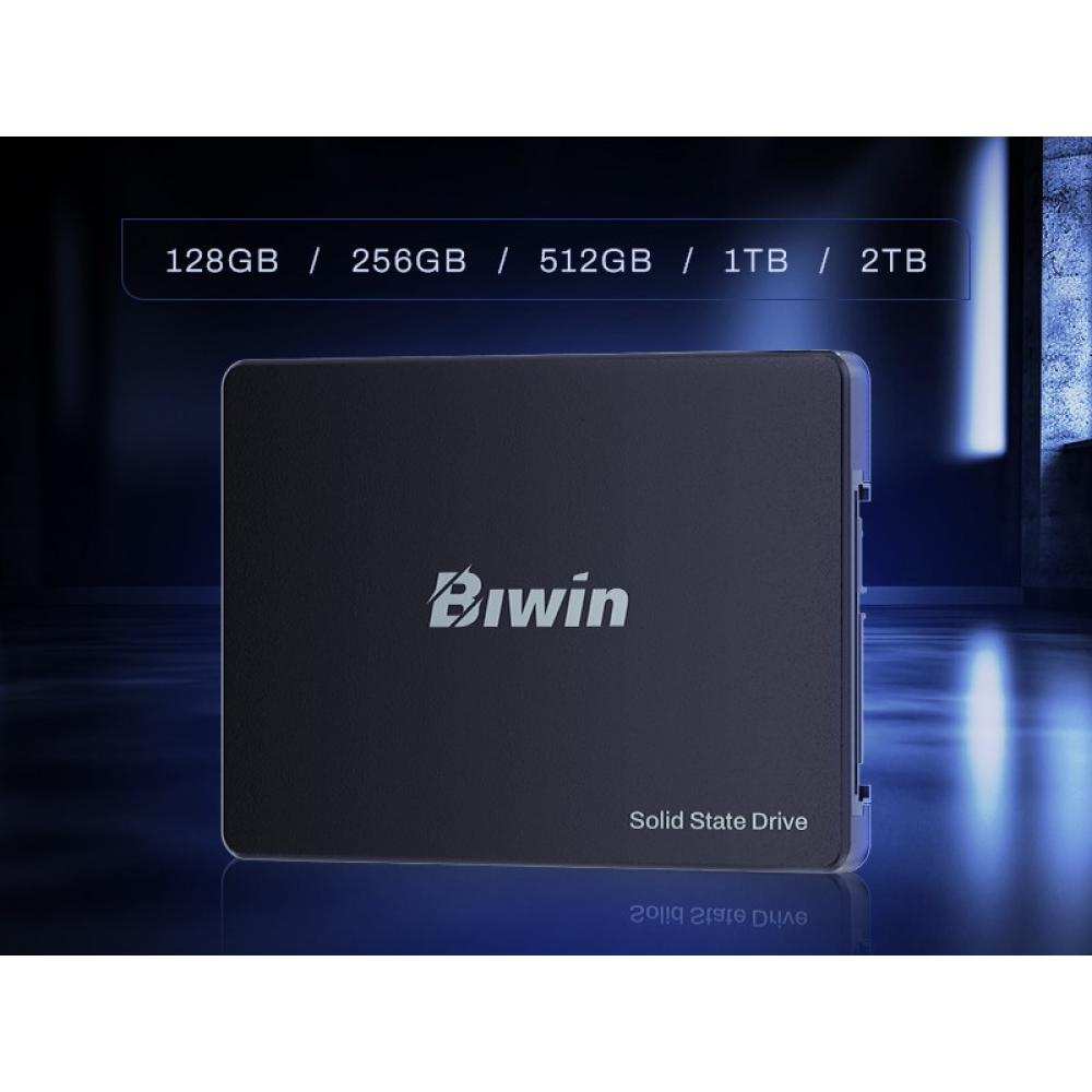 Biwin - M100 512 GB 2.5" Serial ATA III