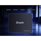 Biwin - M100 512 GB 2.5" Serial ATA III