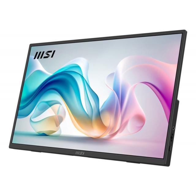 MSI - PRO MP165 E6 Monitor portátil Negro 39,6 cm (15.6") LED 1920 x 1080 Pixeles