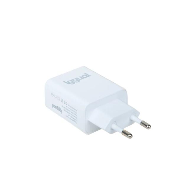 iggual - Cargador de pared 1xUSB 5V/2.4A (12W)