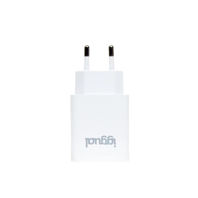 iggual - Cargador de pared 1xUSB 5V/2.4A (12W)