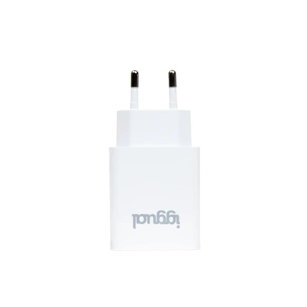 iggual - Cargador de pared 1xUSB 5V/2.4A (12W)