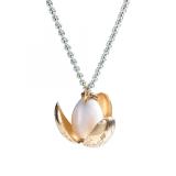 The Noble Collection - NN7533 Oro, Madera