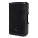Aiwa - APRO-12 altavoz Rango completo Negro Inalámbrico y alámbrico 250 W
