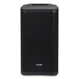 Aiwa - APRO-12 altavoz Rango completo Negro Inalámbrico y alámbrico 250 W