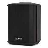 Aiwa - AX-1PRO altavoz Negro Inalámbrico y alámbrico 100 W