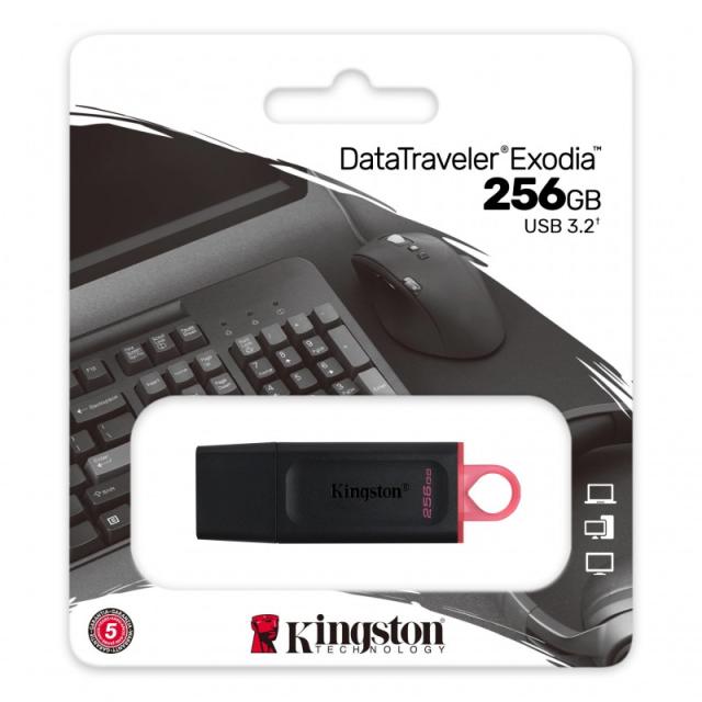 Kingston Technology - DataTraveler Unidad Flash USB 3.2 Exodia - DTX/256GB