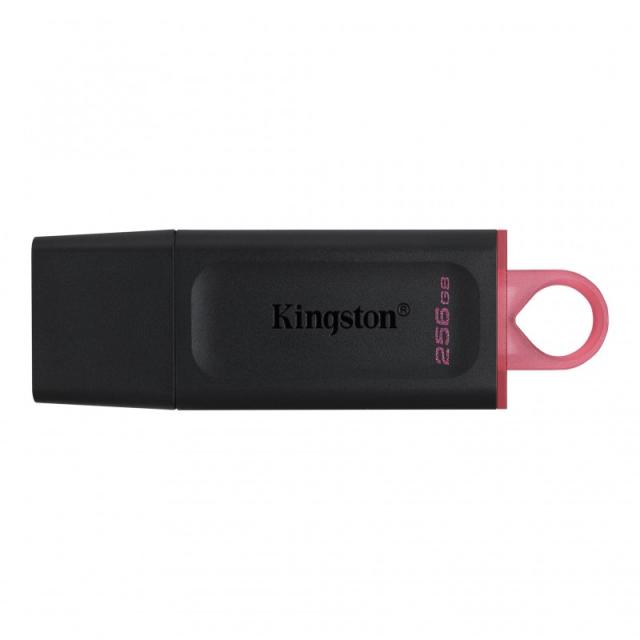 Kingston Technology - DataTraveler Unidad Flash USB 3.2 Exodia - DTX/256GB