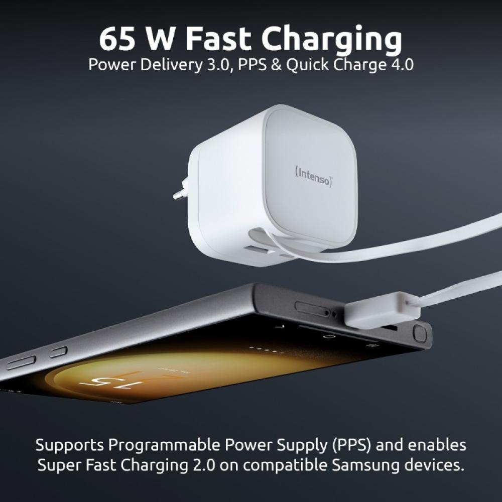 Intenso - 7806520 adaptador e inversor de corriente Interior 65 W Negro - 7806522