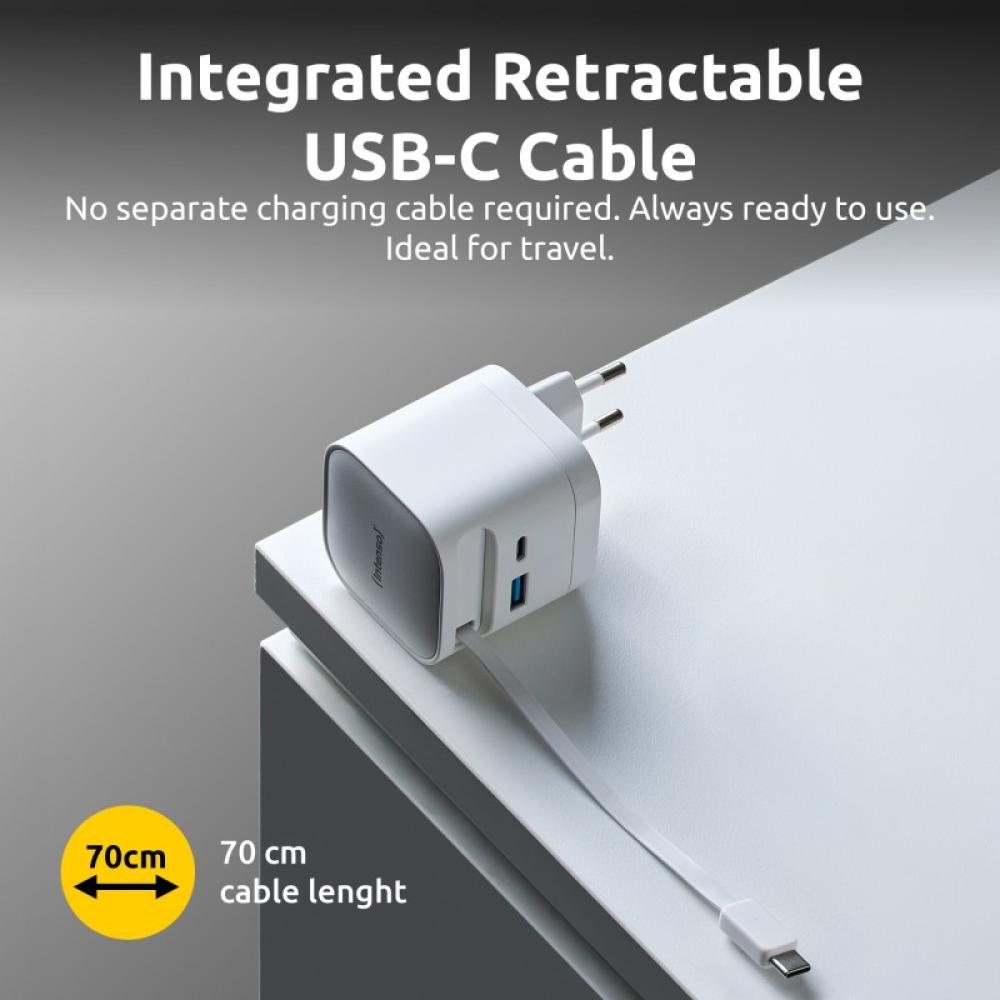 Intenso - 7806520 adaptador e inversor de corriente Interior 65 W Negro - 7806522