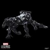 Hasbro - Marvel Legends Series Dark Avengers Spider-Man