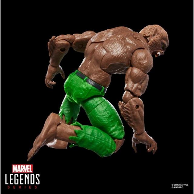 Hasbro - Marvel Legends Series Werewolf By Night
