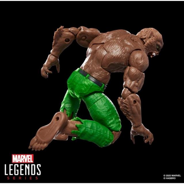 Hasbro - Marvel Legends Series Werewolf By Night
