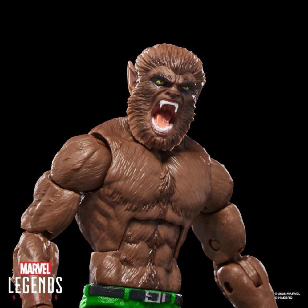 Hasbro - Marvel Legends Series Werewolf By Night