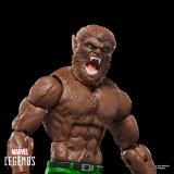 Hasbro - Marvel Legends Series Werewolf By Night