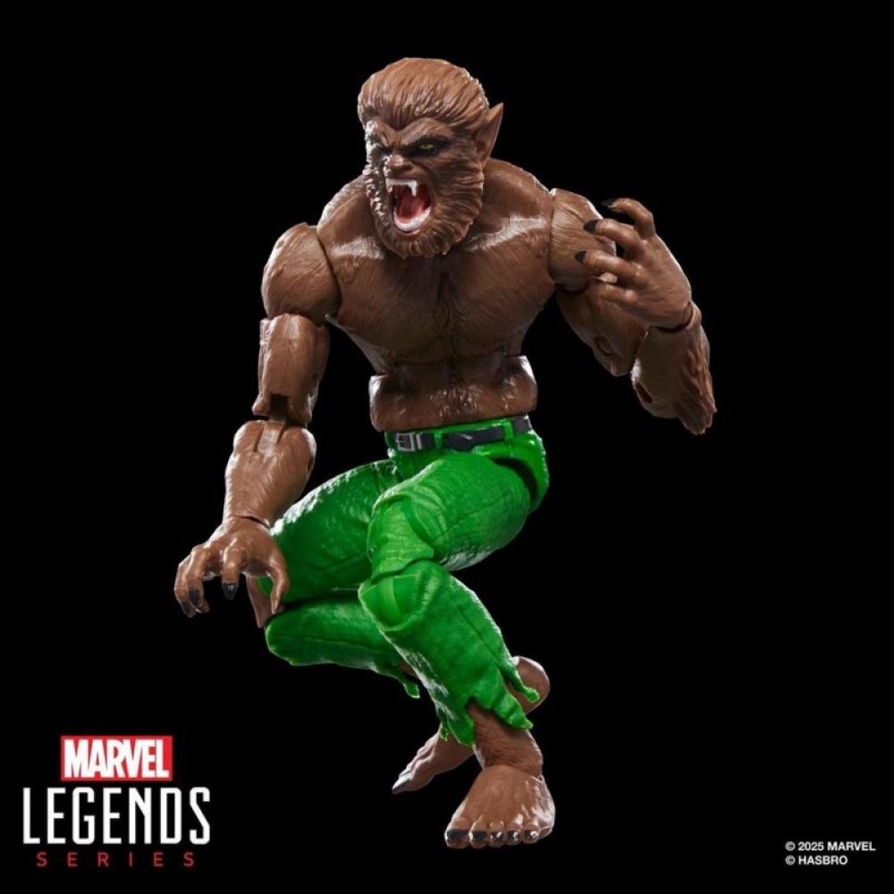 Hasbro - Marvel Legends Series Werewolf By Night