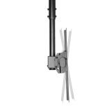 Neomounts - NM-C440BLACK Soporte de techo para monitor/TV 32-60" - alt. 56-91 cm