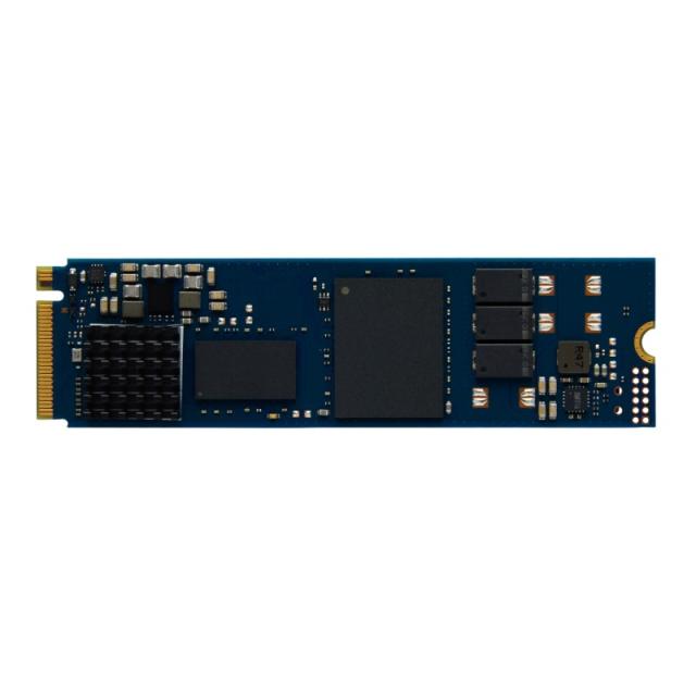 Kingston Technology - 480G DC2000B PCIe 4.0 M.2 2280 Enterprise SSD