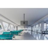 Neomounts - CL35-340BL22 Soporte de techo para doble monitor/TV 23-43" - alt. 106-156 cm