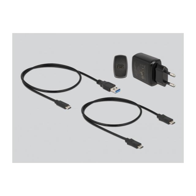 DeLOCK - M.2 Estación de acoplamiento para 2 x M.2 SATA SSD con función de clonación