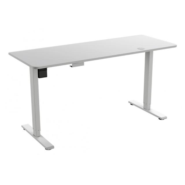 COUGAR - Royal Mossa Blanco