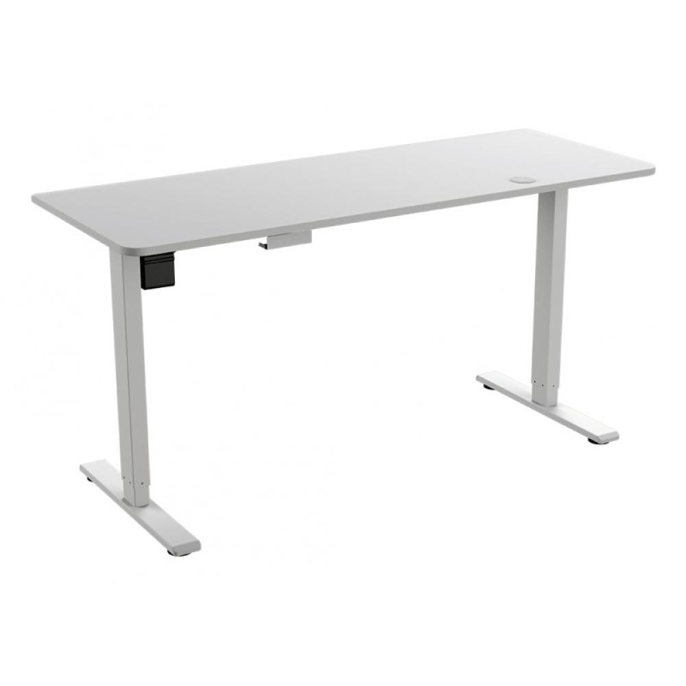 COUGAR - Royal Mossa Blanco