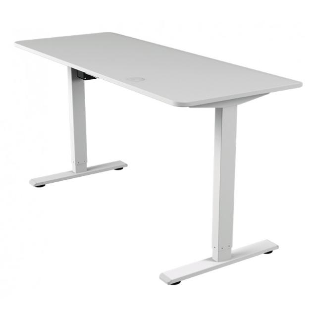 COUGAR - Royal Mossa Blanco