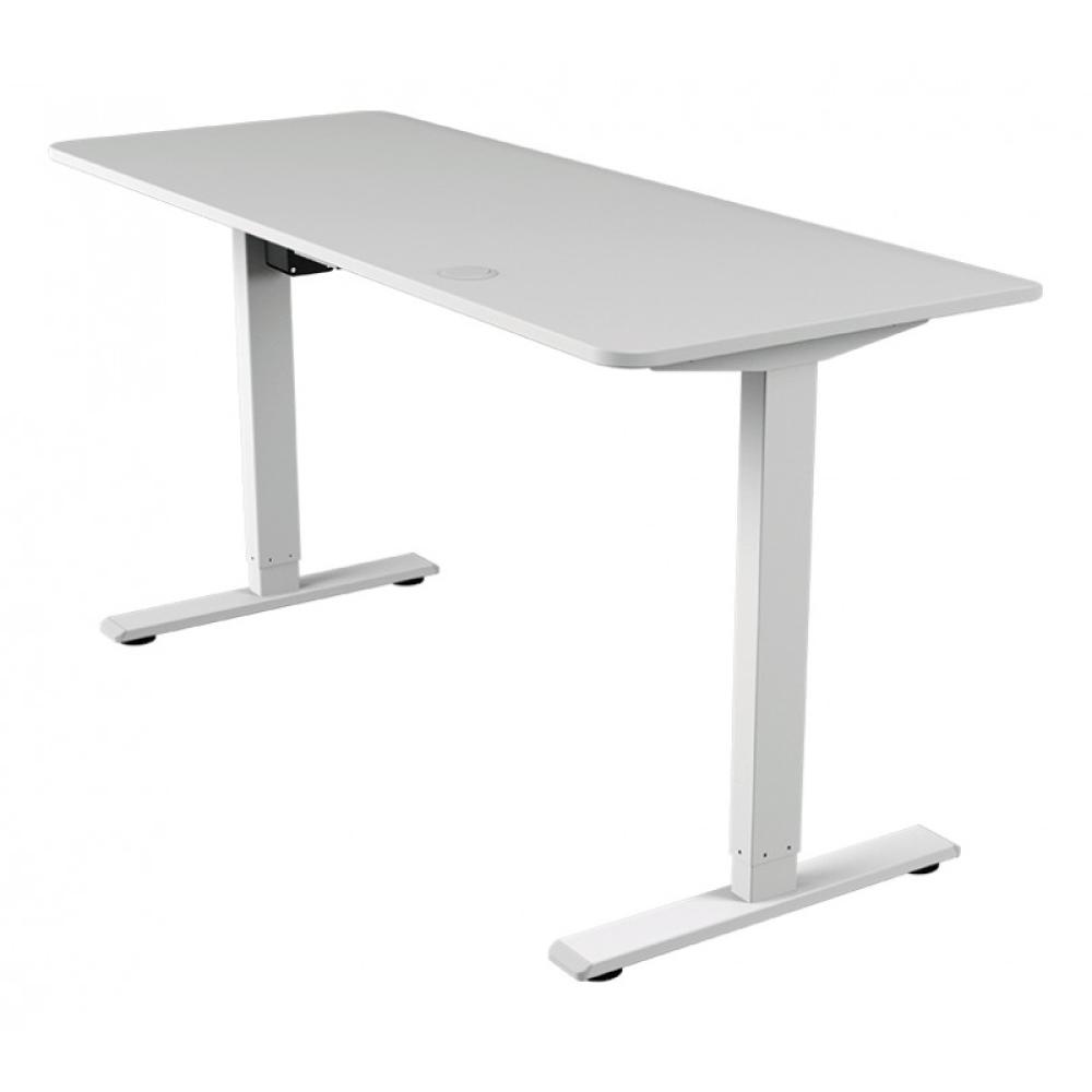 COUGAR - Royal Mossa Blanco