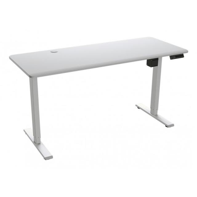 COUGAR - Royal Mossa Blanco