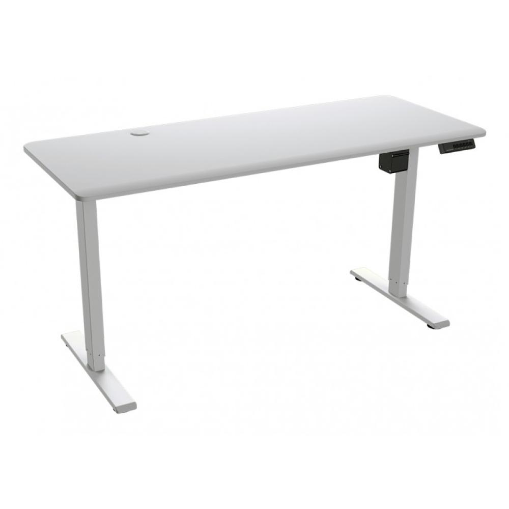 COUGAR - Royal Mossa Blanco