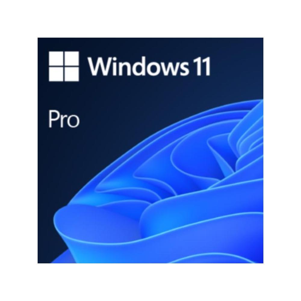 Microsoft - Windows 11 Pro Producto empaquetado completo (FPP full packaged product) 1 licencia(s)