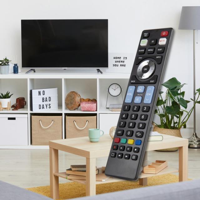 Ewent - EW1576 mando a distancia TV Botones