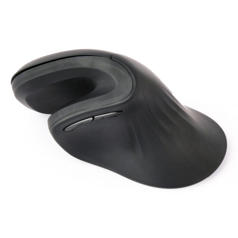 Gembird - MUSW-ERGO-03 ratón Hogar mano derecha RF inalámbrico Óptico 1600 DPI